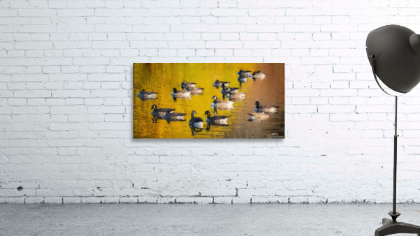 REFLECTIONS Wall Preview