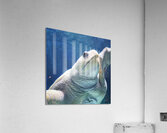 Mother Turtle Acrylic Print