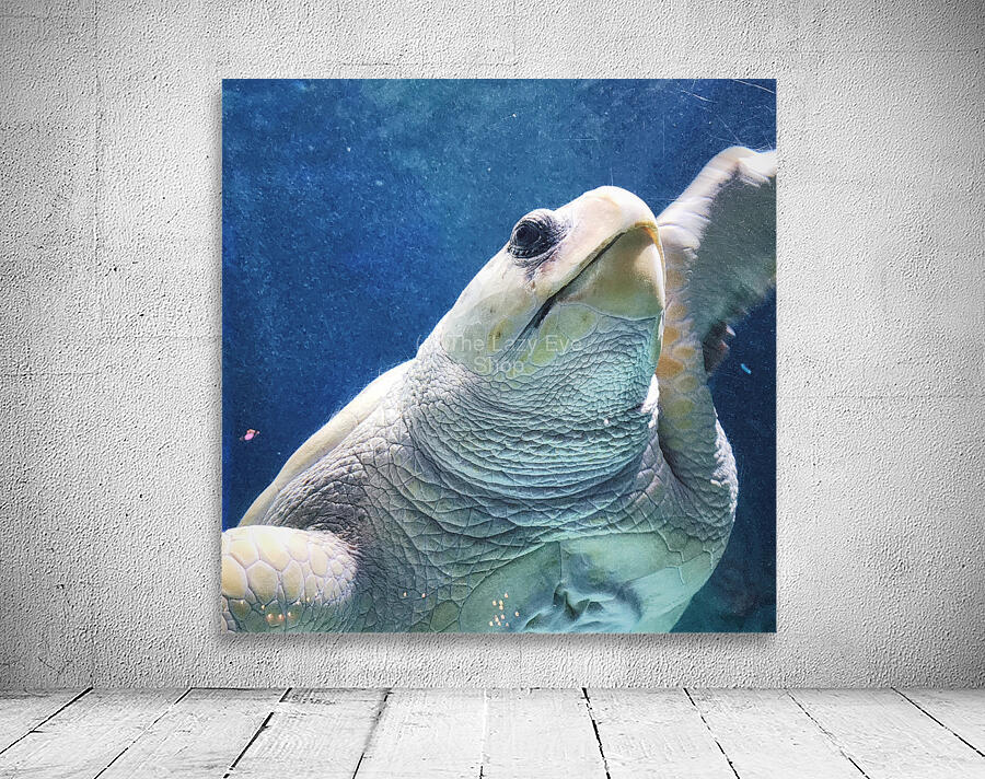 Mother Turtle Wall Preview