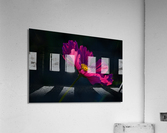 Cosmos flower Acrylic Print