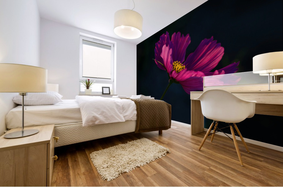 Cosmos flower Mural print