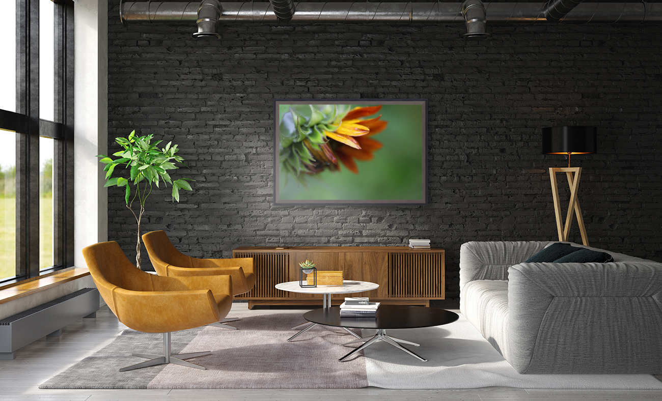 Sunflower Reproduction