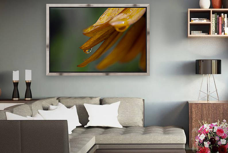 Sunflower Droplet by Marie-Claude Berard