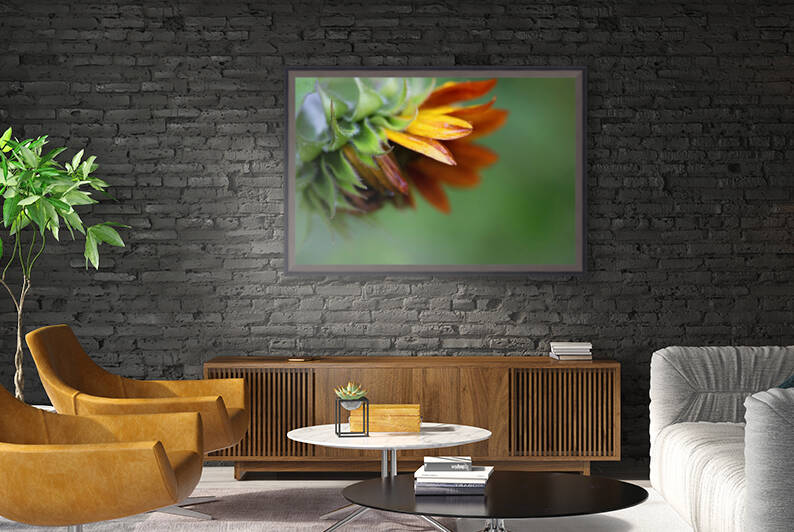 Sunflower by Marie-Claude Berard