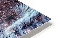 Snow horse HD Metal print