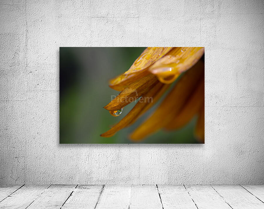 Sunflower Droplet Wall Preview