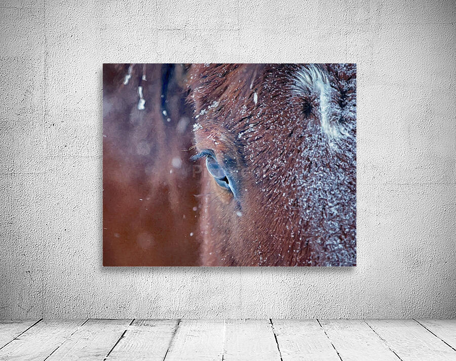 Snow horse Wall Preview