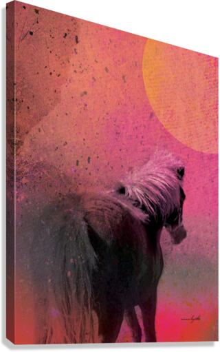 Staring at the sun Canvas Print