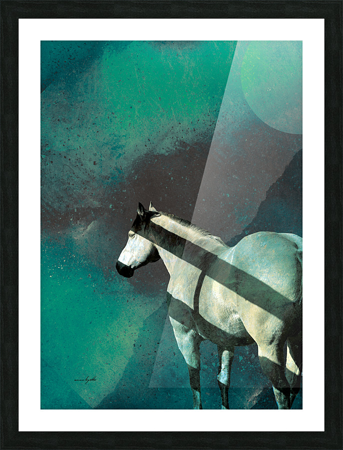 Shadows Picture Frame print