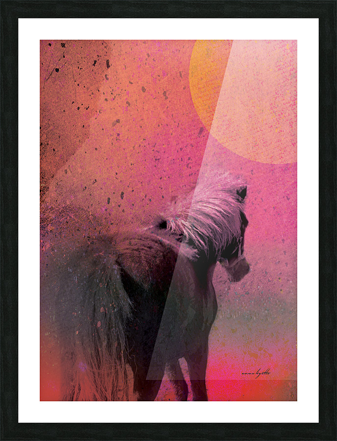 Staring at the sun Picture Frame print
