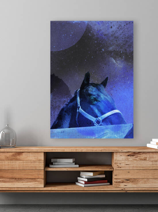 underthemoonlight by Anne Lizotte