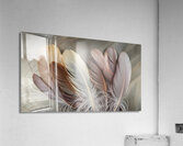 Timeless Grace: Harmonious Feather Artwork Acrylic Print