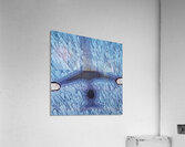 Under an Airplane Acrylic Print