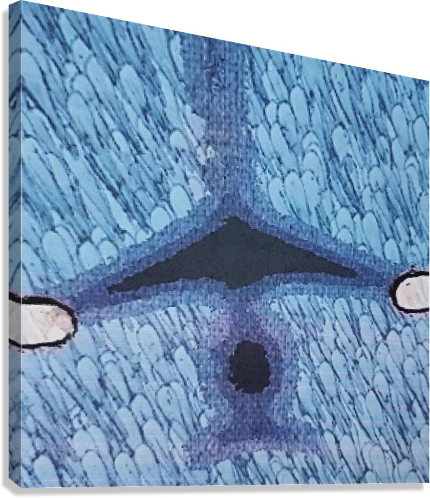 Under an Airplane Canvas Print