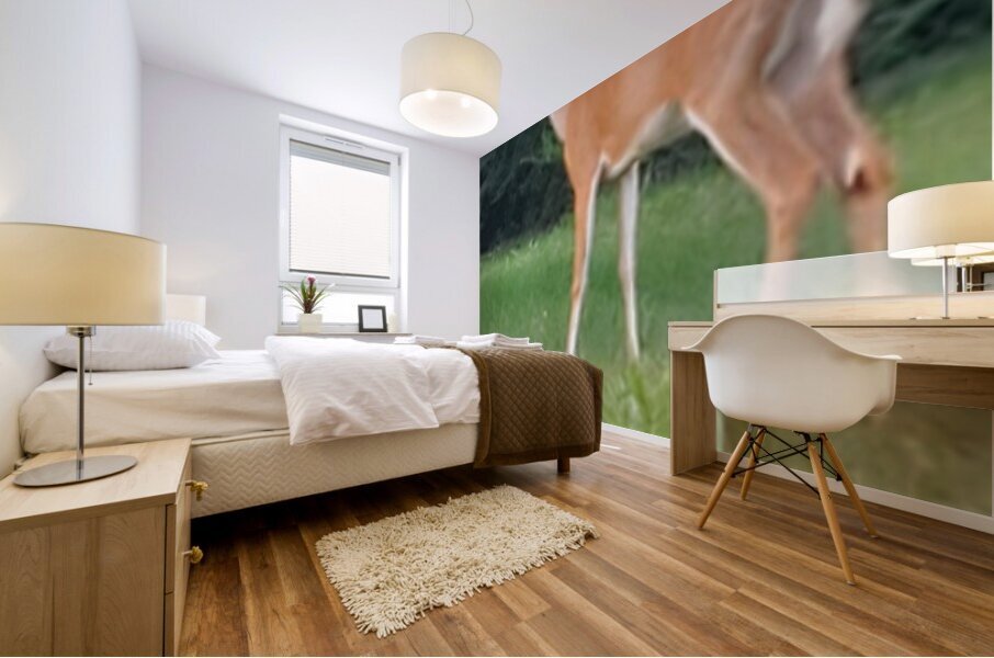 deer today Mural print