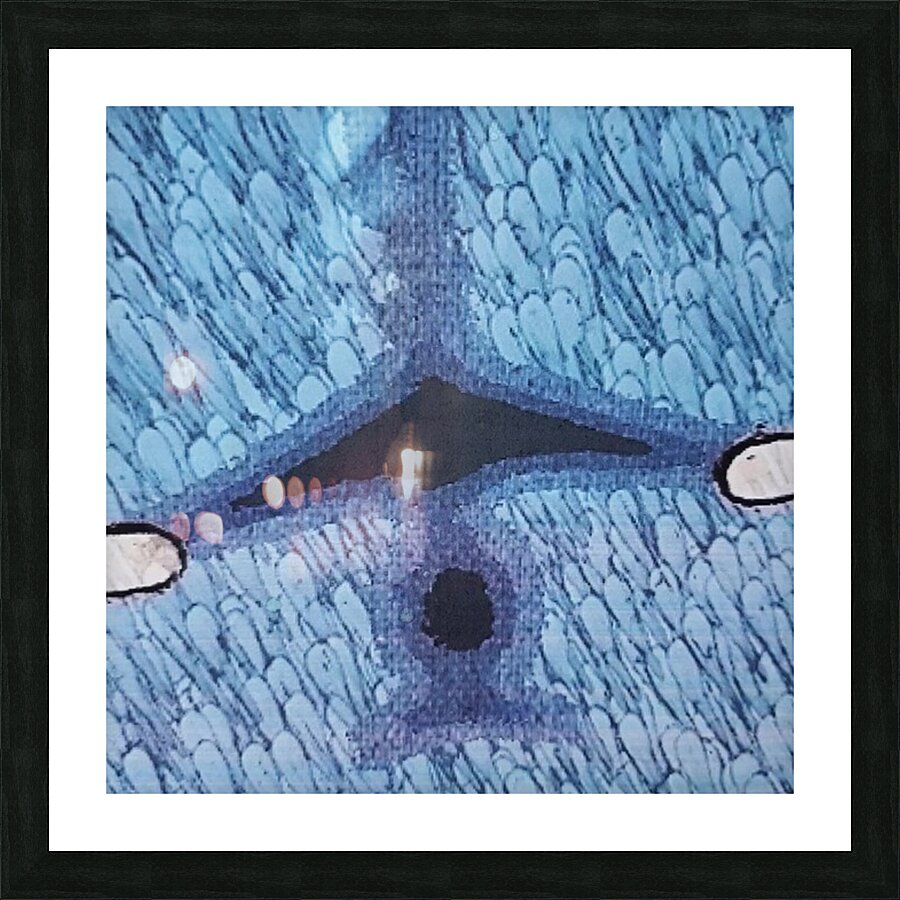 Under an Airplane Picture Frame print