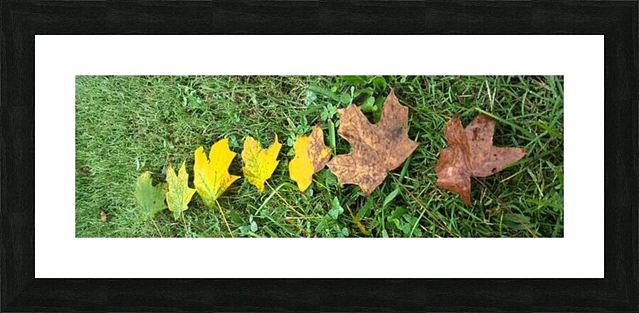 life Picture Frame print