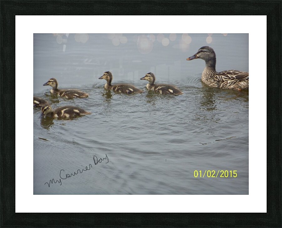 Heading For Shore Picture Frame print