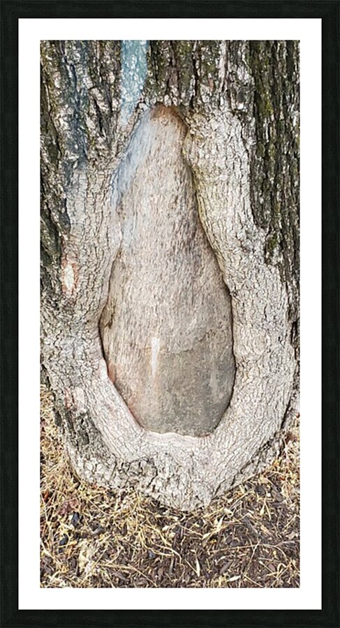 Tree Designs Picture Frame print