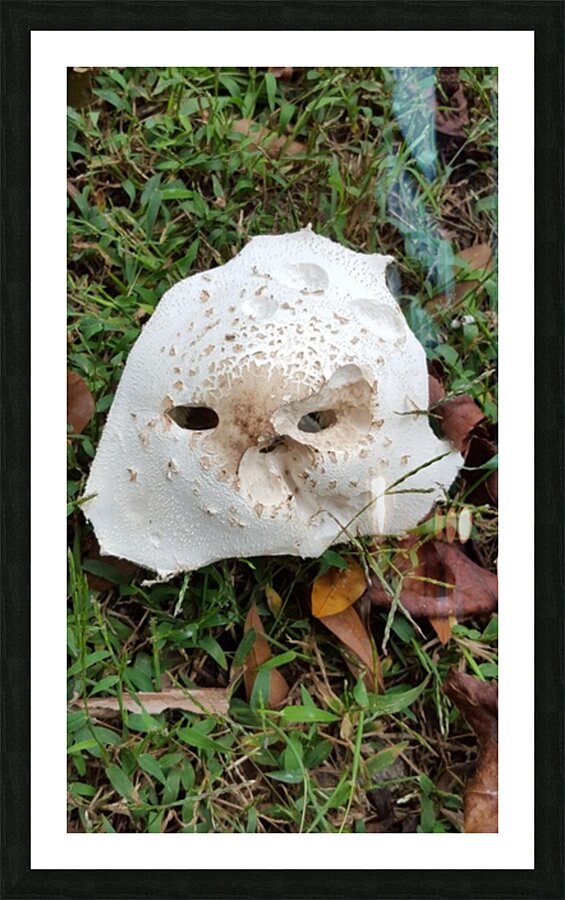 Mask Picture Frame print