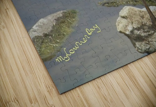 Swan Moment marshajimmie puzzle