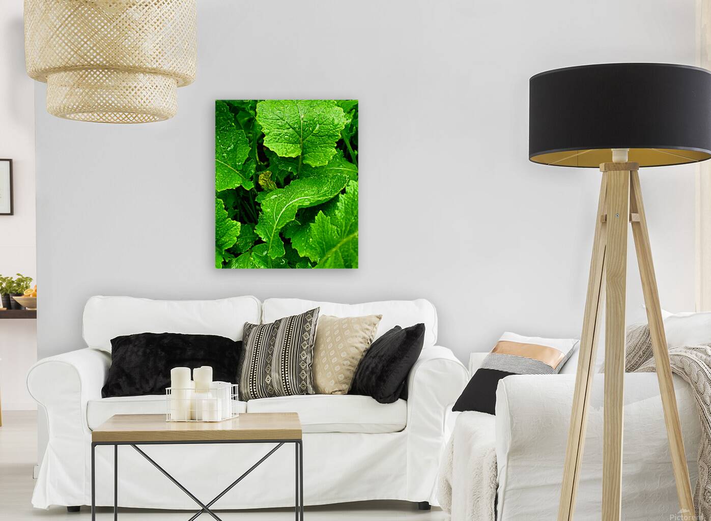 Greens Growing Reproduction