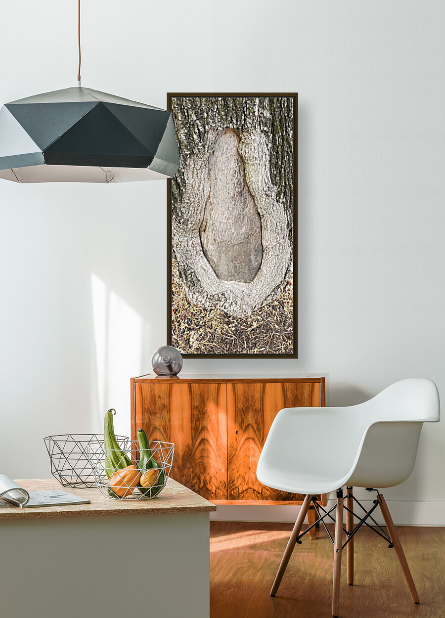 Tree Designs Reproduction