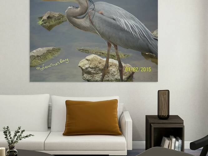 Swan Moment Reproduction