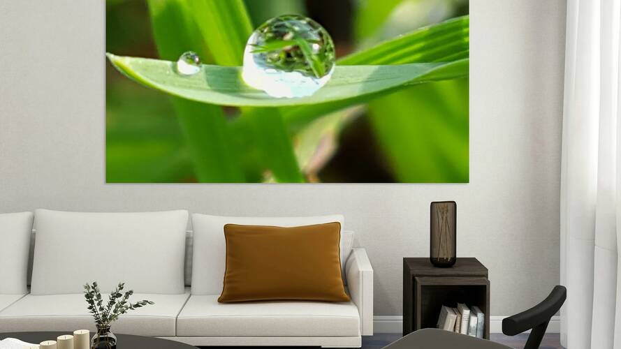 Large Dew Drop on a leaf Reproduction