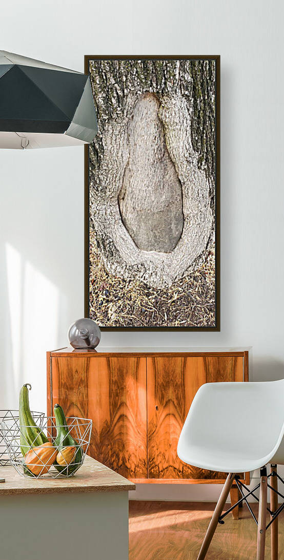 Tree Designs by marshajimmie