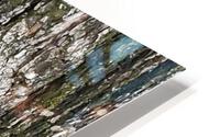 Tree Designs HD Metal print