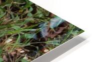 Mask HD Metal print