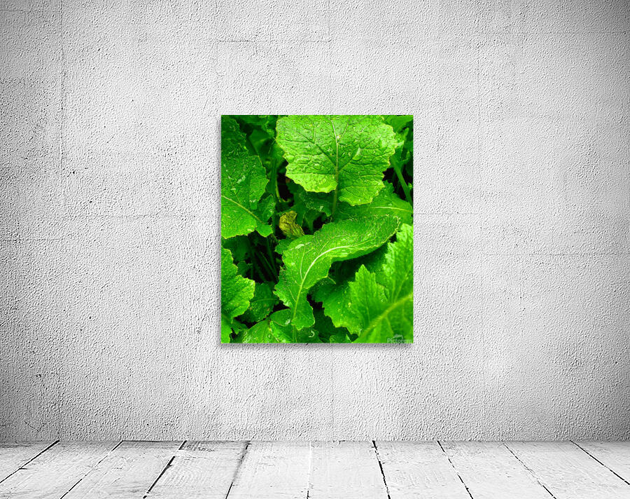Greens Growing Wall Preview