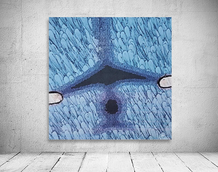 Under an Airplane Wall Preview