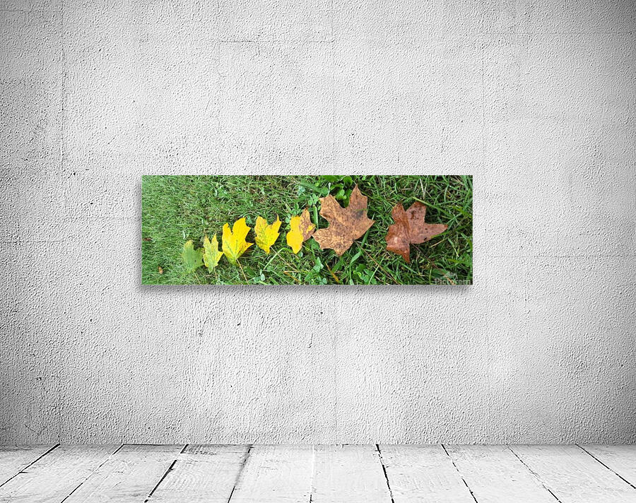 life Wall Preview