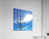 Tree, Sky & Clouds Acrylic Print