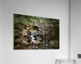 Pavuna 1 Acrylic Print