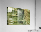 DryLeaf mango 1 Acrylic Print