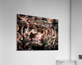 Cups serie 6 Acrylic Print