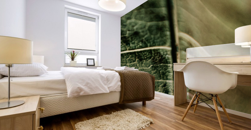 DryLeaf mango 1 Mural print