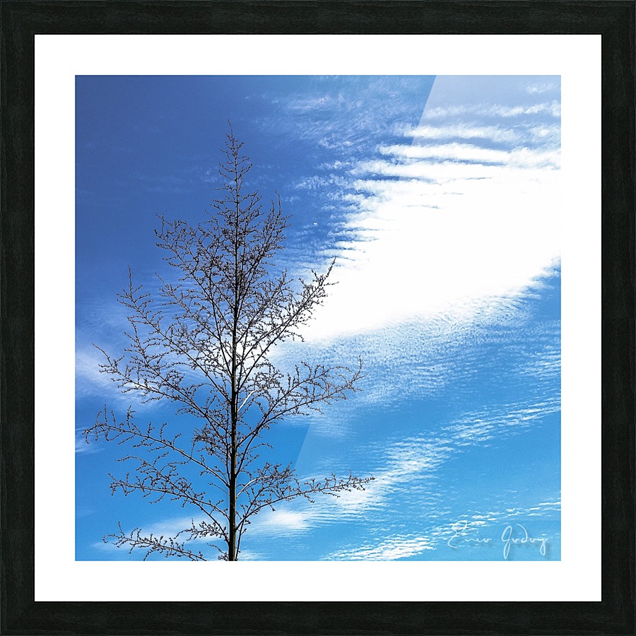 Tree, Sky & Clouds Picture Frame print