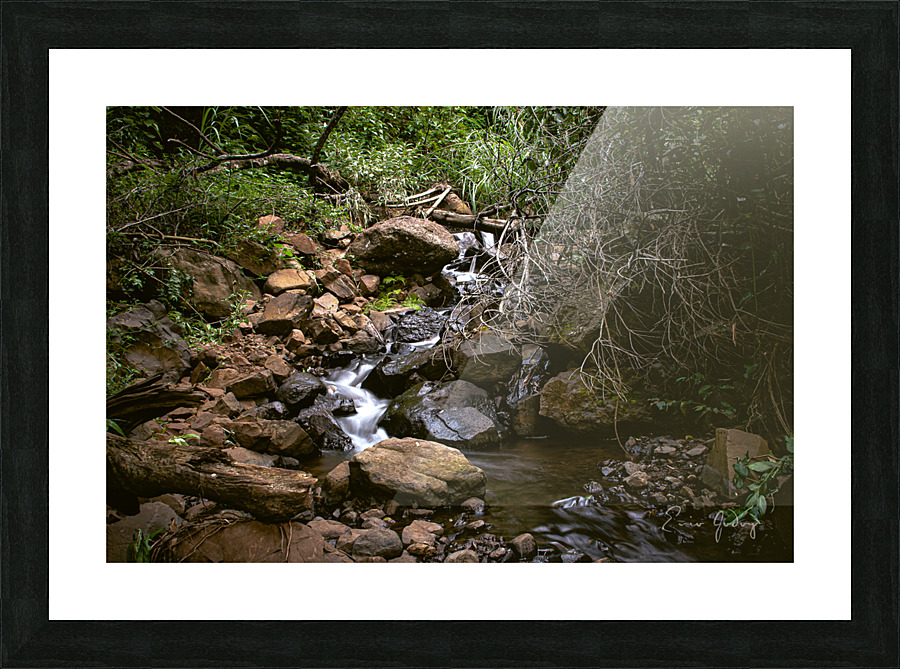 Pavuna 1 Picture Frame print