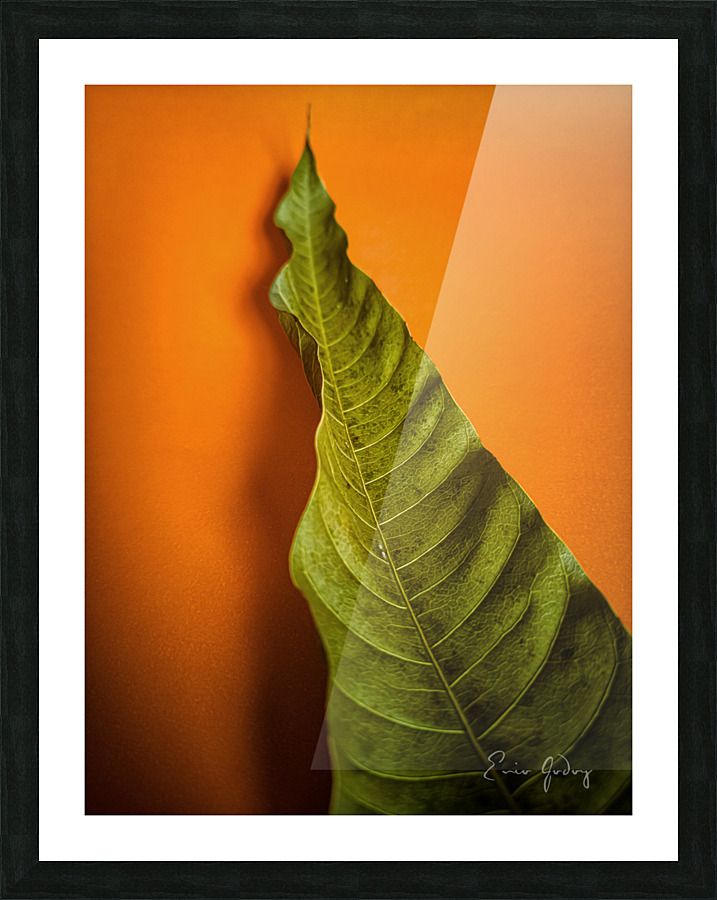 LeafMango 1 Picture Frame print