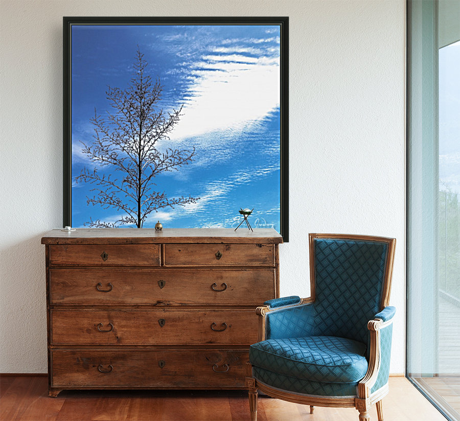 Tree, Sky & Clouds Reproduction