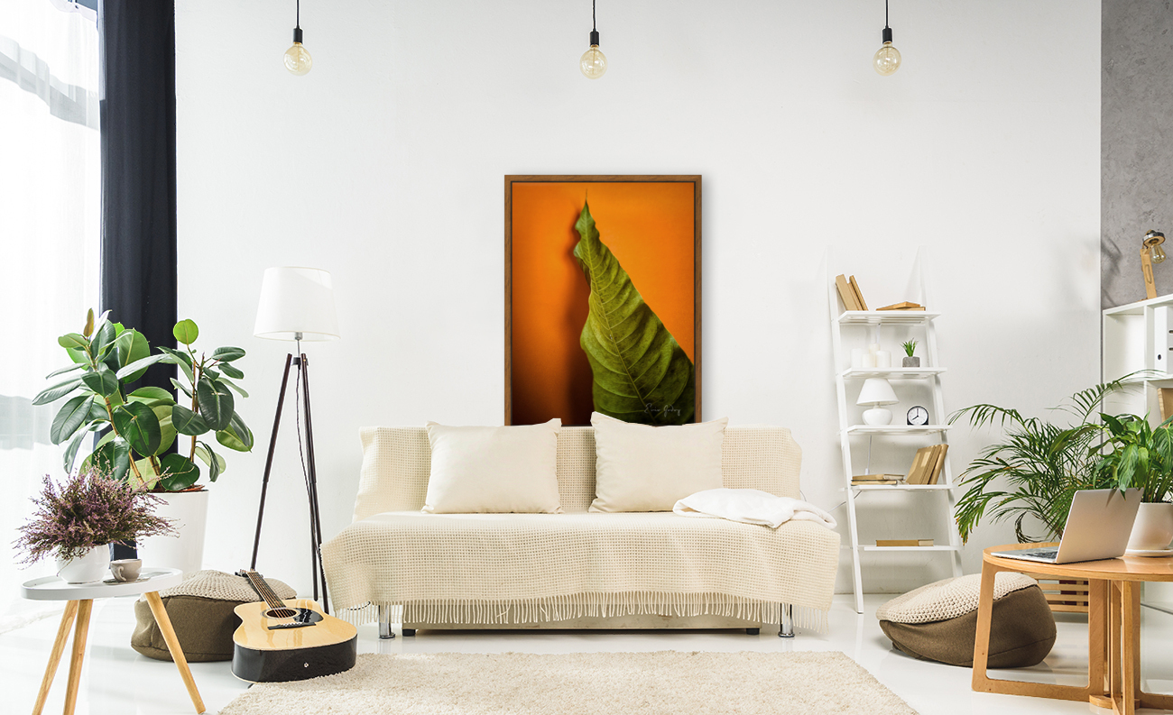 LeafMango 1 Reproduction