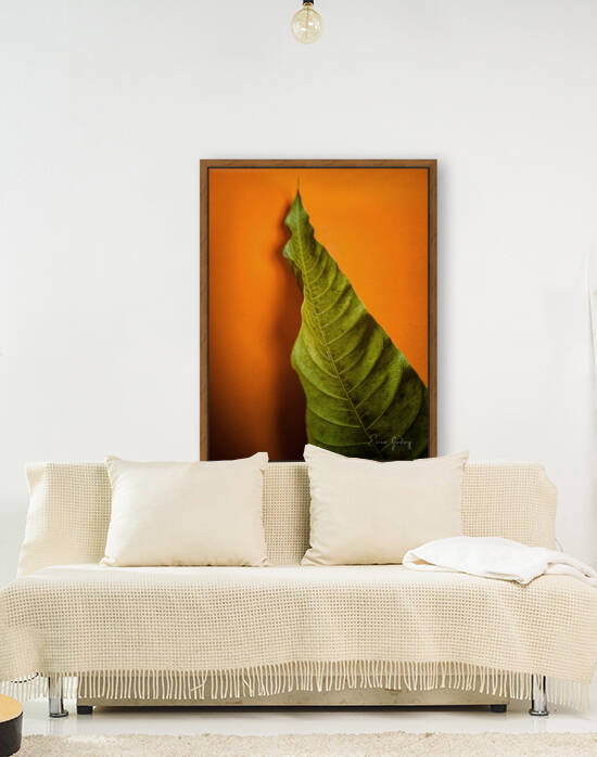 LeafMango 1 by Enio Godoy