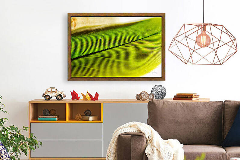 Minimalism feather 03 by Enio Godoy