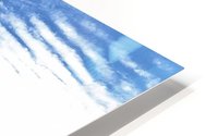 Tree, Sky & Clouds HD Metal print