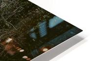 Pavuna 1 HD Metal print