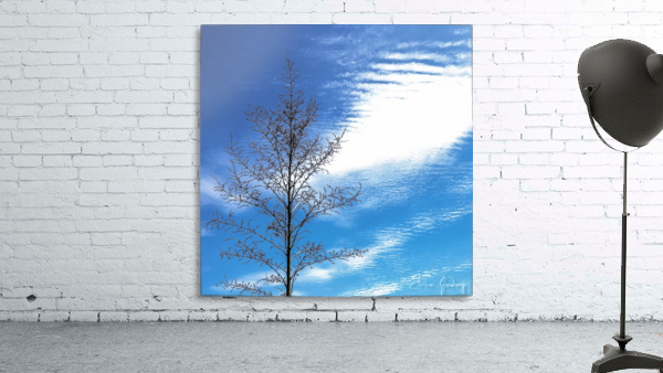 Tree, Sky & Clouds Wall Preview